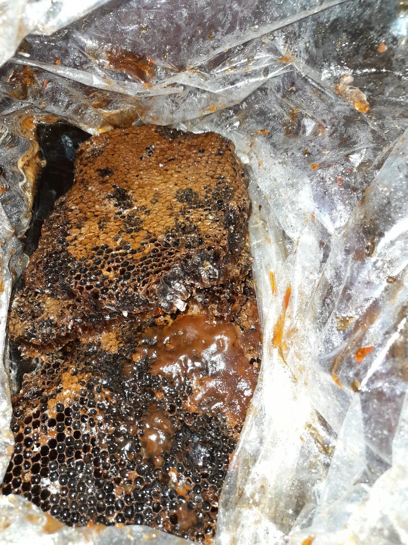 권상호님의 장터 판매 상품 [목청 1kg] 첨부 사진