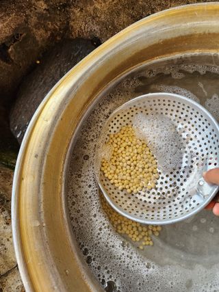 권춘화님의 자유주제 · 자유게시판 작성글 사진