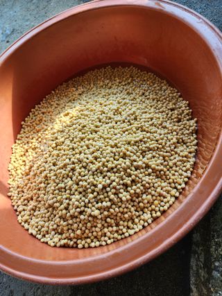 권춘화님의 자유주제 · 자유게시판 작성글 사진