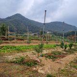 팜모닝 자유주제·자유게시판 게시글 이미지