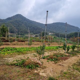 피치나라님의 자유주제 · 자유게시판 작성글 사진