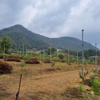 피치나라님의 자유주제 · 자유게시판 작성글 사진