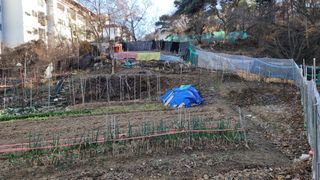 농녀님의 2024년 농사 계획은? · 참여글 작성글 사진