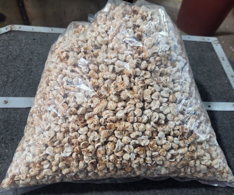 정권옥님의 장터 판매 상품 [스테비아를 첨가한 강내이 뻥튀기래요 (한봉지 실 중량 1.3킬로 이상)] 첨부 사진