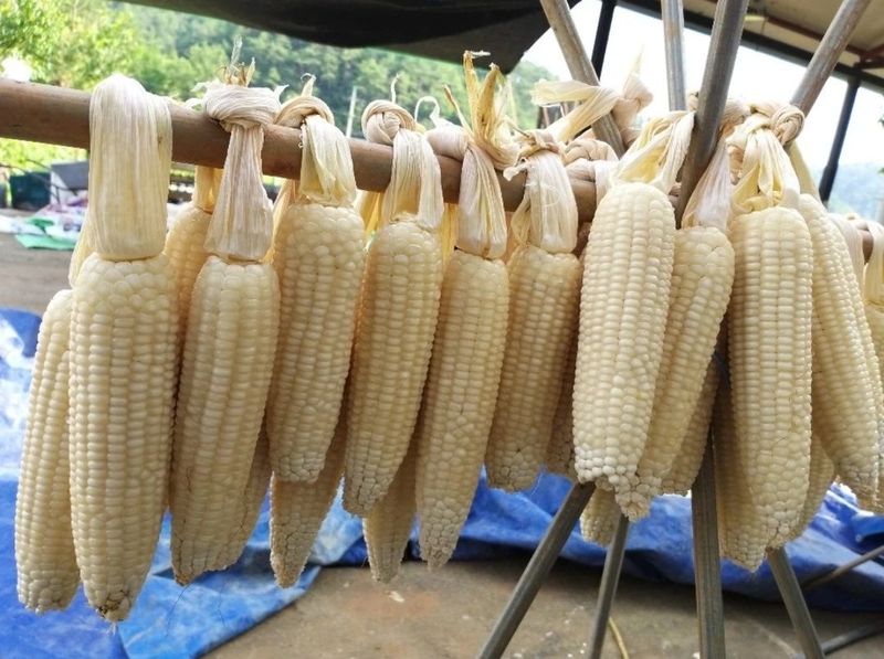 정권옥님의 장터 판매 상품 [스테비아를 첨가한 강내이 뻥튀기래요 (한봉지 실 중량 1.3킬로 이상)] 첨부 사진