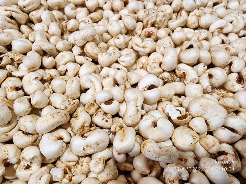 정권옥님의 장터 판매 상품 [스테비아를 첨가한 강내이 뻥튀기래요 (한봉지 실 중량 1.3킬로 이상)] 첨부 사진