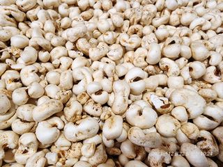 정권옥님의 작성글 사진