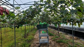 감농사및복합작물님의 2024년 농사 계획은? · 참여글 작성글 사진