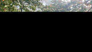 감농사및복합작물님의 2024년 농사 계획은? · 참여글 작성글 사진