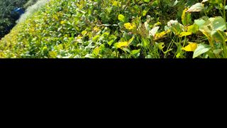 감농사및복합작물님의 2024년 농사 계획은? · 참여글 작성글 사진