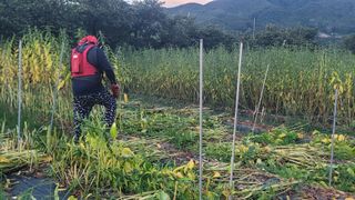 감농사및복합작물님의 2024년 농사 계획은? · 참여글 작성글 사진