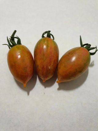 강화댁님의 2024년 농사 계획은? · 참여글 작성글 사진