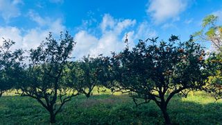 쭈야네농장님의 2024년 농사 계획은? · 참여글 작성글 사진