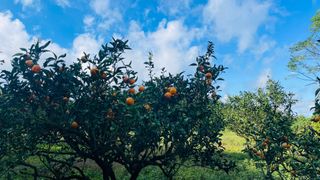 쭈야네농장님의 2024년 농사 계획은? · 참여글 작성글 사진