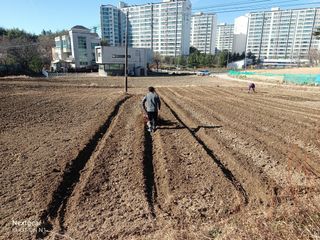 강릉 농사초보자님의 2024년 농사 계획은? · 참여글 작성글 사진