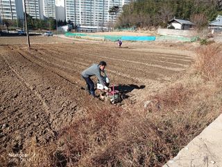 강릉 농사초보자님의 2024년 농사 계획은? · 참여글 작성글 사진