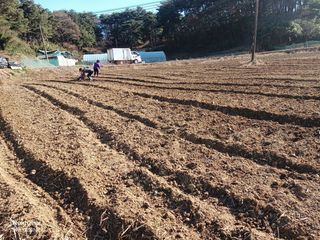 강릉 농사초보자님의 2024년 농사 계획은? · 참여글 작성글 사진