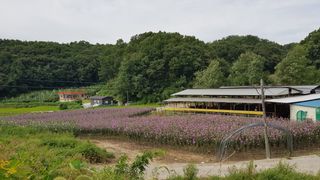 무궁화아리랑사랑농원님의 팜모닝 · 출석 작성글 사진