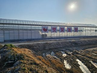 햇빛농원님의 작성글 사진