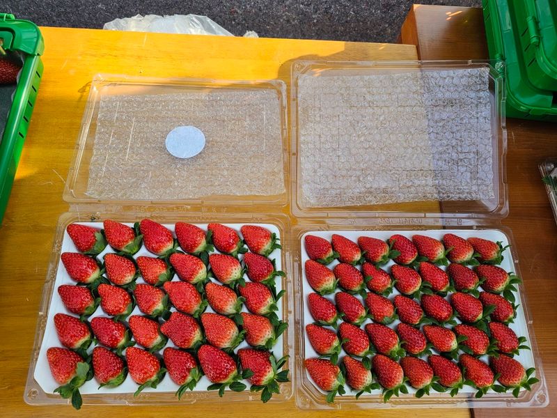 햇빛농원님의 장터 판매 상품 [이천쌀보다 더맛있는 금실이 750g] 첨부 사진