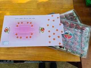 햇빛농원님의 작성글 사진