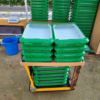 햇빛농원님의 작성글 사진