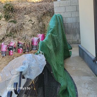 짱순이연속8월출석왕님의 2024년 농사 계획은? · 참여글 작성글 사진