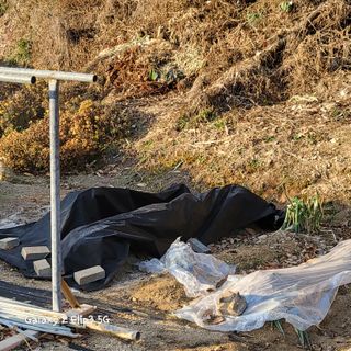 짱순이연속8월출석왕님의 2024년 농사 계획은? · 참여글 작성글 사진