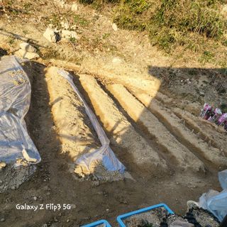 짱순이연속8월출석왕님의 2024년 농사 계획은? · 참여글 작성글 사진