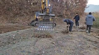 일심묘목농원님의 기타작물 · 자유게시판 작성글 사진