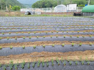 정창훈님의 2024년 농사 계획은? · 참여글 작성글 사진
