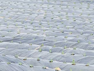 정창훈님의 2024년 농사 계획은? · 참여글 작성글 사진