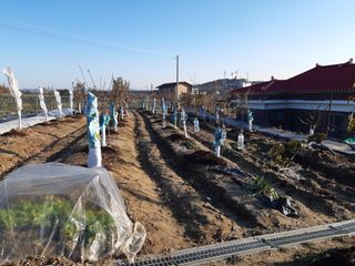 강판술님의 2024년 농사 계획은? · 참여글 작성글 사진