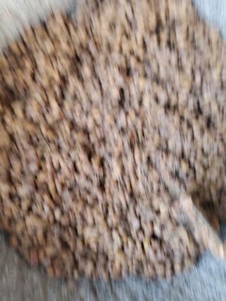 최남옥님의 콩 · 자유게시판 작성글 사진