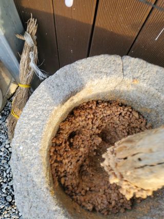 최남옥님의 콩 · 자유게시판 작성글 사진