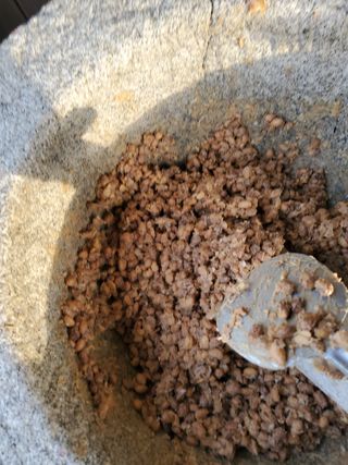 최남옥님의 콩 · 자유게시판 작성글 사진