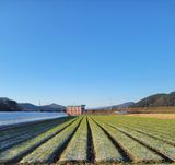 팜모닝 자유주제·자유게시판 게시글 이미지