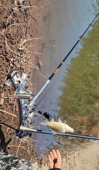 농사꾼 단비님의 자유주제 · 자유게시판 작성글 사진