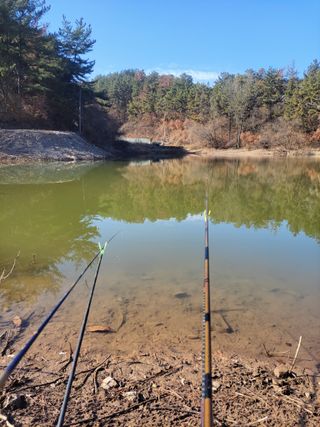 농사꾼 단비님의 자유주제 · 자유게시판 작성글 사진