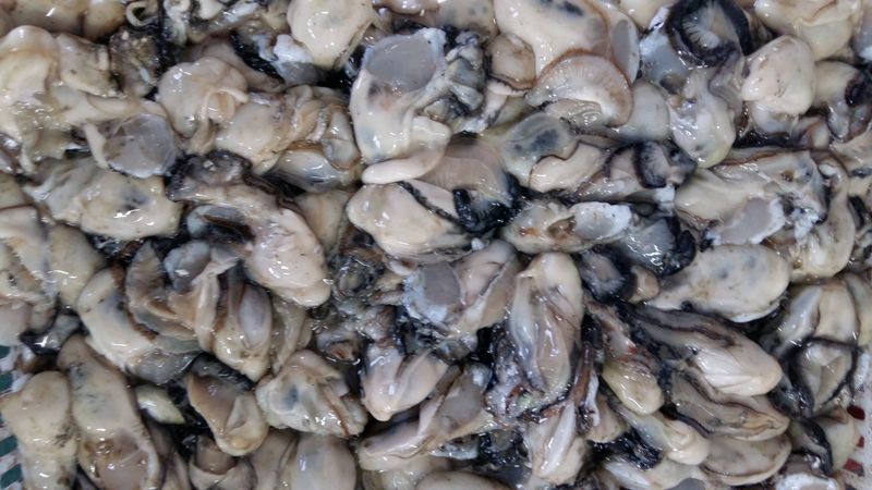 장터 상품 [통영굴   김장굴(중,소굴), 회굴(대굴)] 썸네일