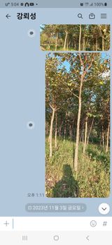 팜모닝 · 게시글 이미지