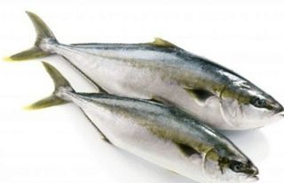 노가네수산님의 자유주제 · 사진전 작성글 사진