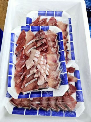 노가네수산님의 자유주제 · 사진전 작성글 사진