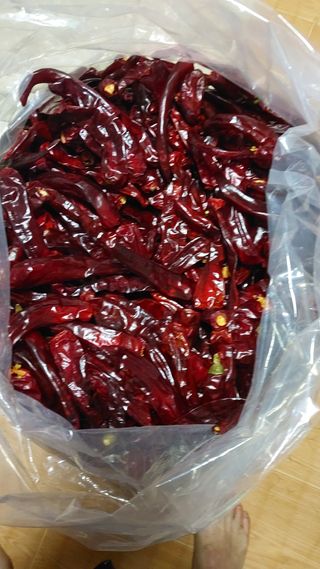 손경식드림농장님의 2024년 농사 계획은? · 참여글 작성글 사진