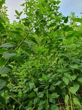 청암농장이은종님의 2024년 농사 계획은? · 참여글 작성글 사진