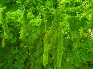 청암농장이은종님의 2024년 농사 계획은? · 참여글 작성글 사진