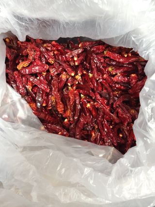 이름없음유성일님의 2024년 농사 계획은? · 참여글 작성글 사진