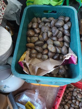 이름없음유성일님의 2024년 농사 계획은? · 참여글 작성글 사진