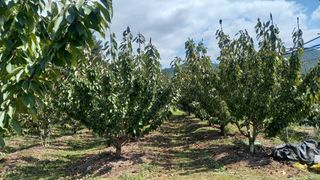 베리조은농원님의 2024년 농사 계획은? · 참여글 작성글 사진