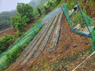 풀빛정원님의 2024년 농사 계획은? · 참여글 작성글 사진